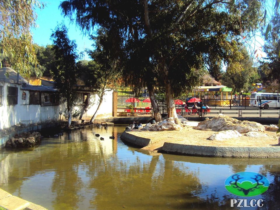 Parc Zoologique Et Des Loisirs De Ben Aknoun Concorde Civile Photo